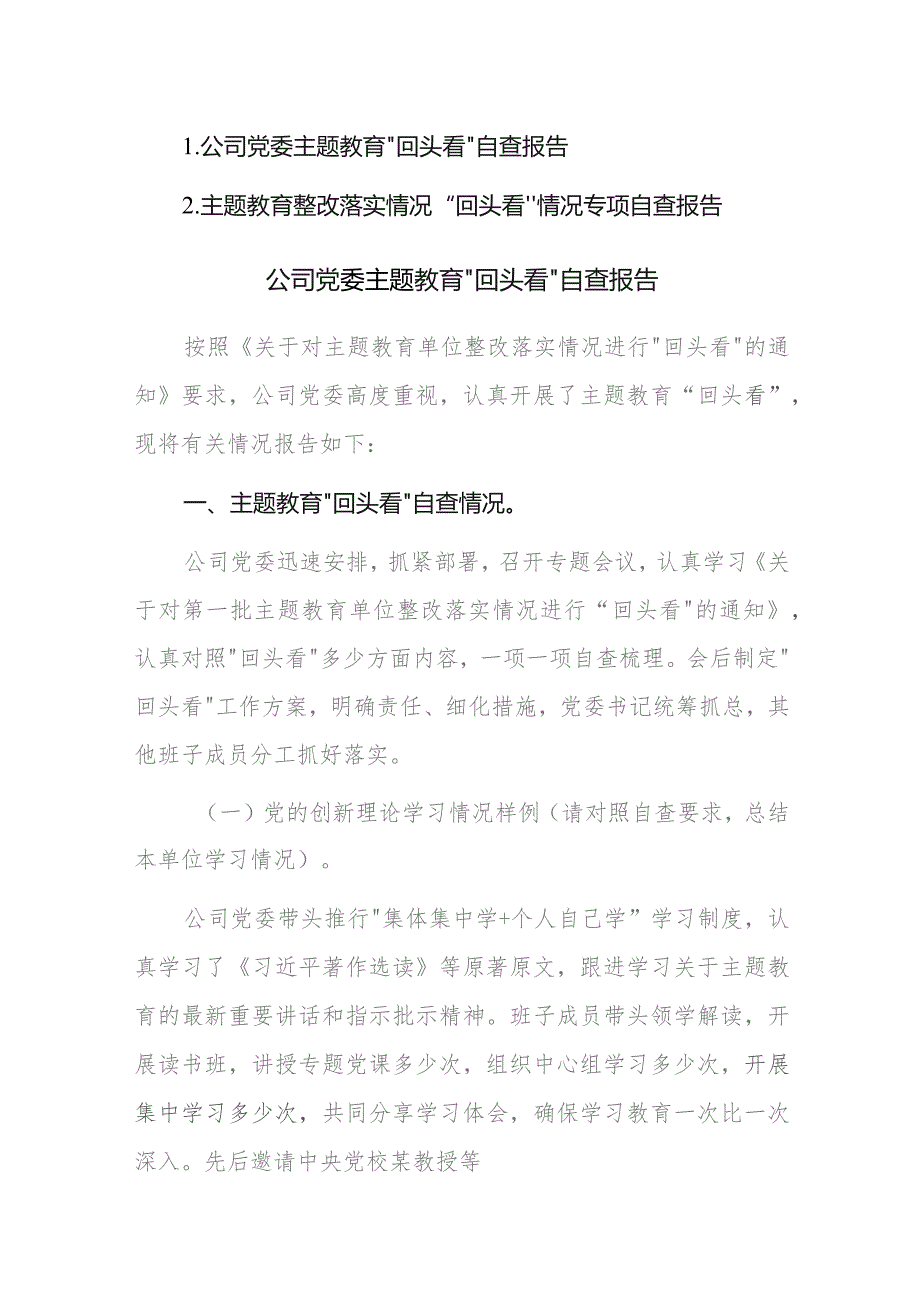 主题教育整改落实情况“回头看”情况专项自查报告范文2篇.docx_第1页