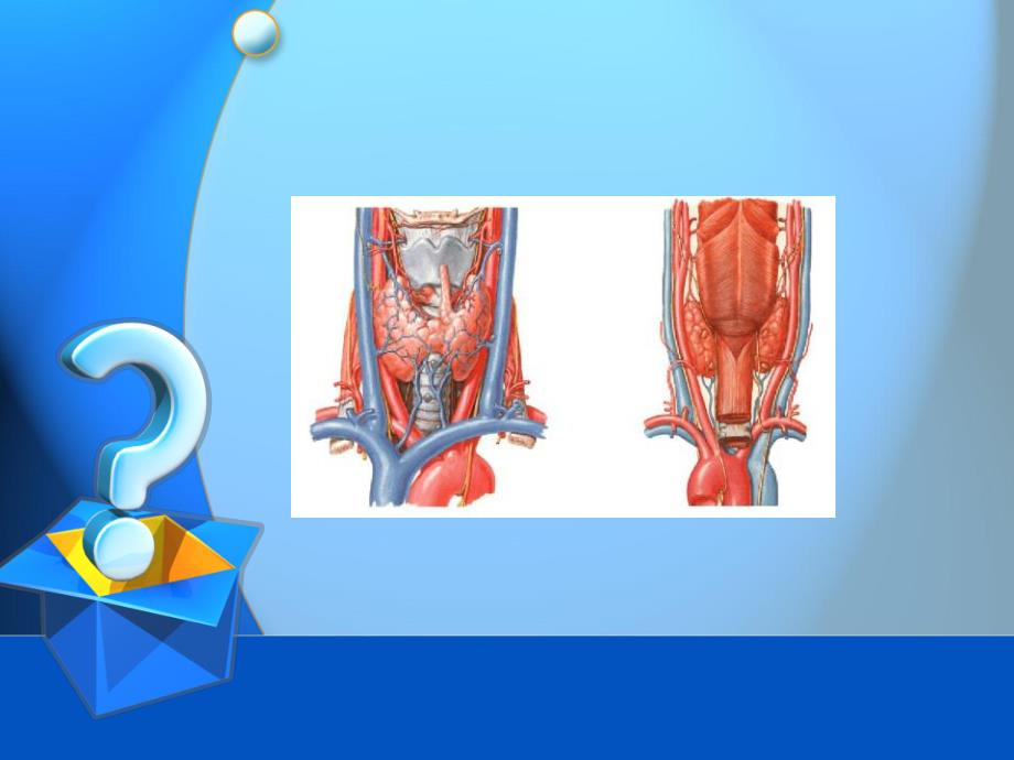 甲状腺疾病CT表现.ppt_第3页