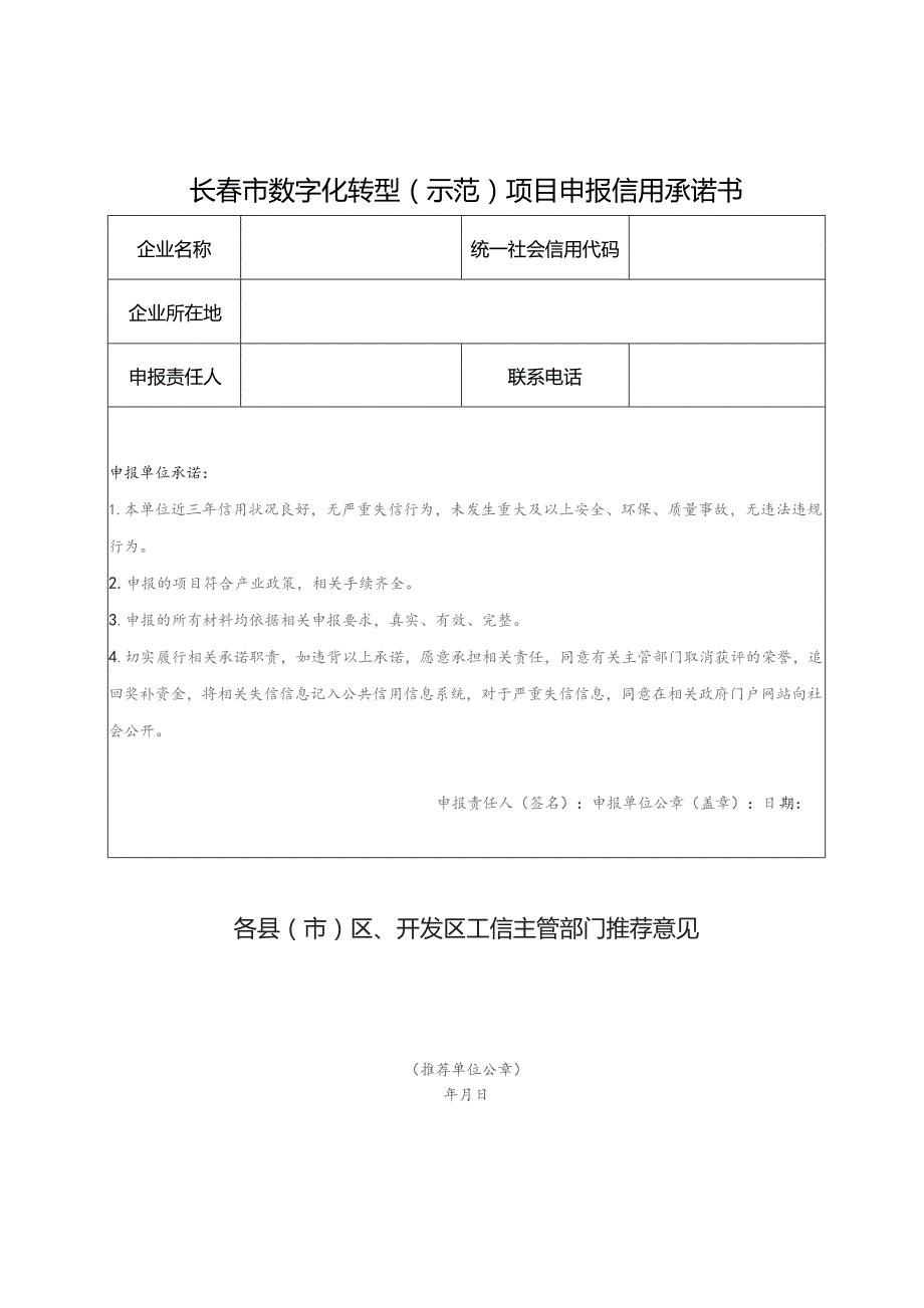 长春市数字化转型示范项目申报书.docx_第3页