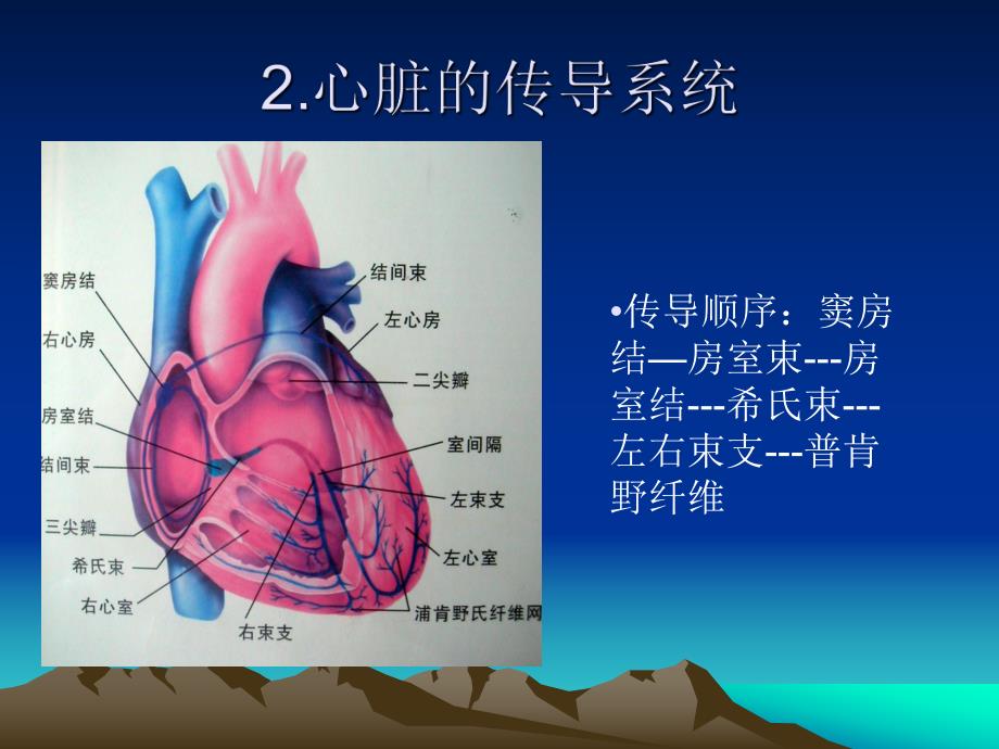 常规心电图识别.ppt_第3页