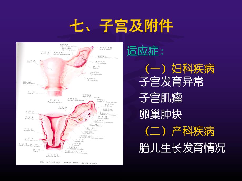 诊断学超声腹部正常妊娠讲座.ppt_第2页