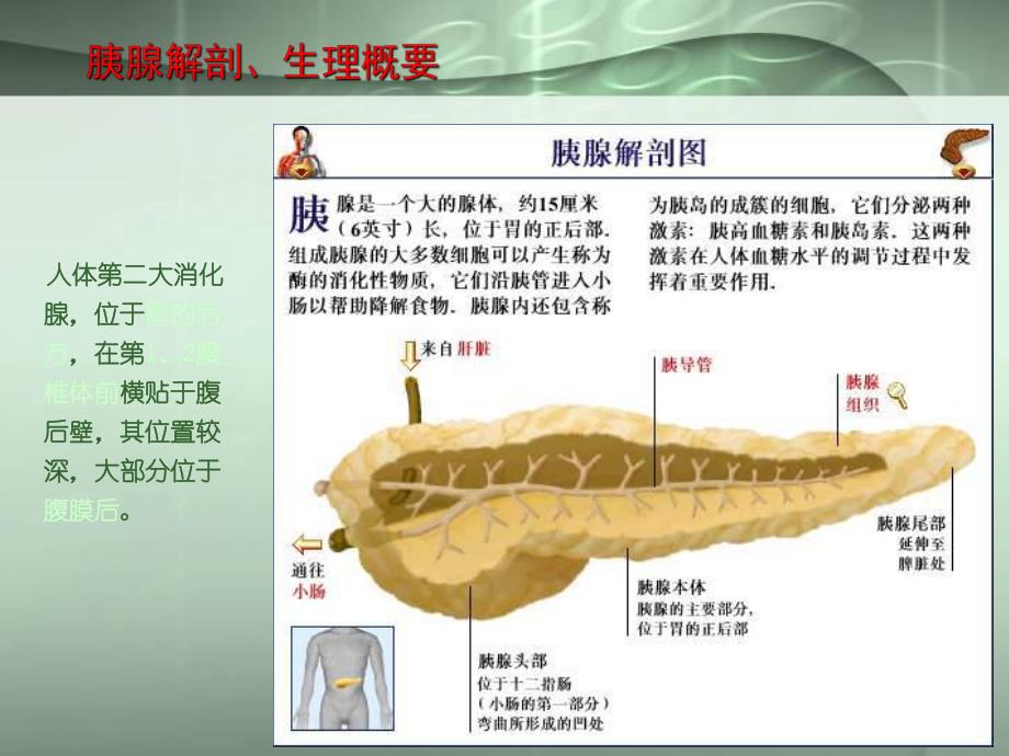 胰腺常见病变的CT诊断.ppt_第3页