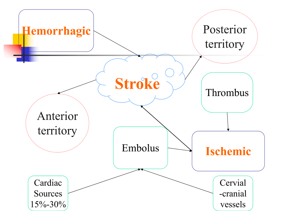 脑动脉狭窄介入治疗.ppt.ppt_第2页