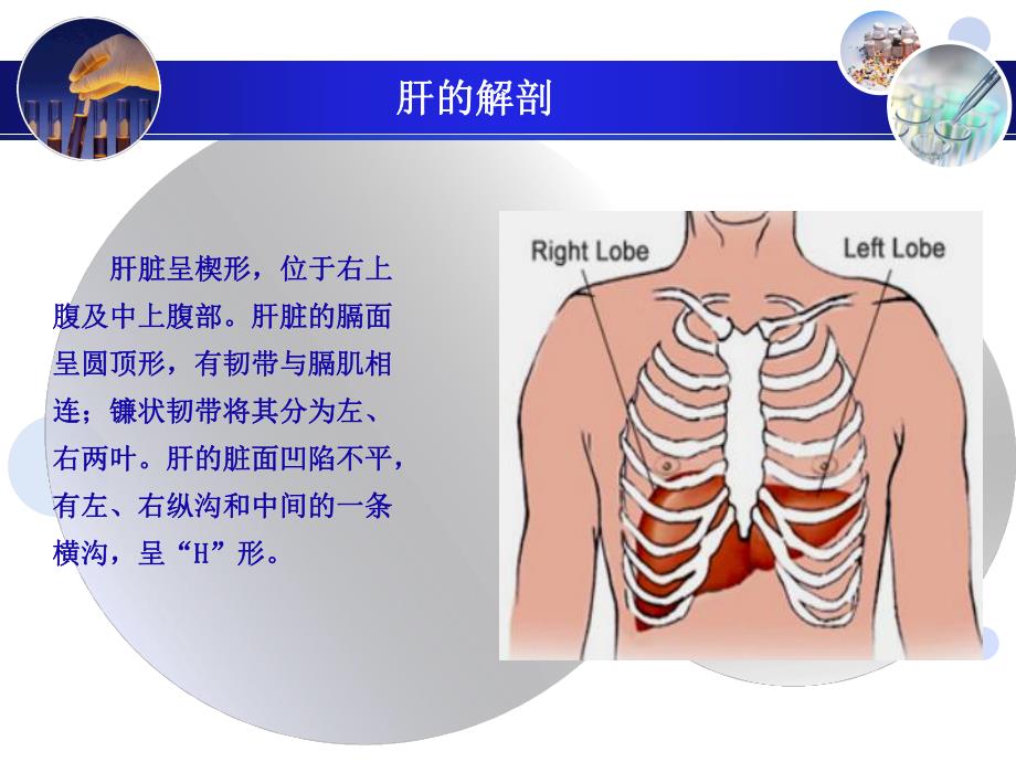 肝超声诊断.ppt_第3页