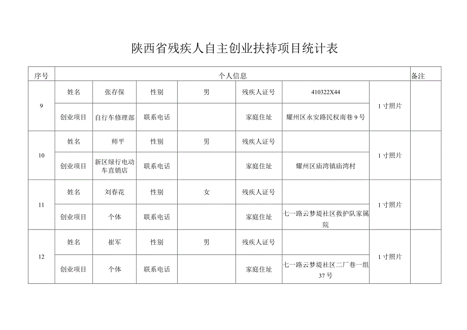 陕西省残疾人自主创业扶持项目统计表.docx_第3页