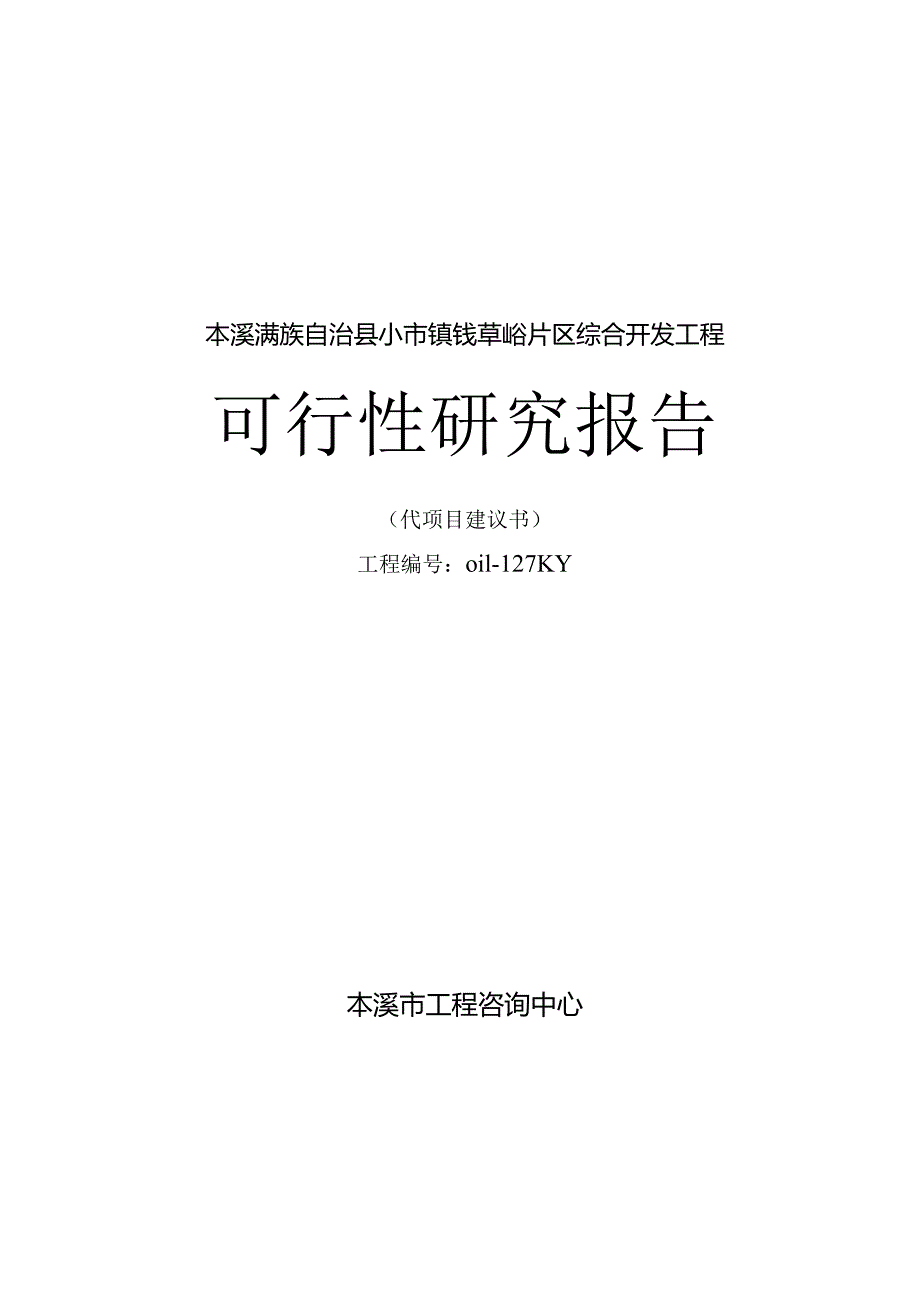 某县某某片区综合开发工程可行性研究报告.docx_第1页