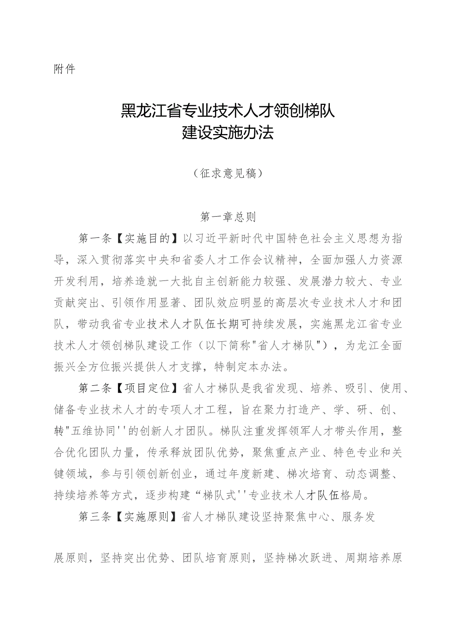 黑龙江省专业技术人才领创梯队建设实施办法（征求意见稿）.docx_第1页