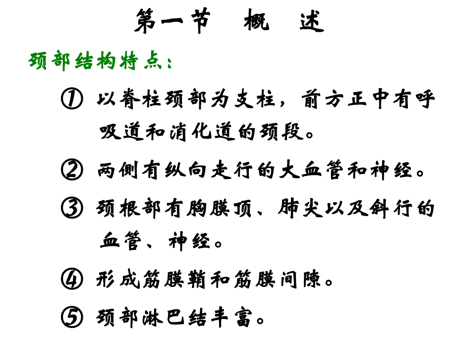 颈部解剖.ppt_第2页