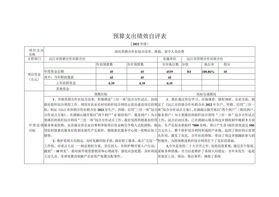 预算支出绩效自评表.docx_第1页