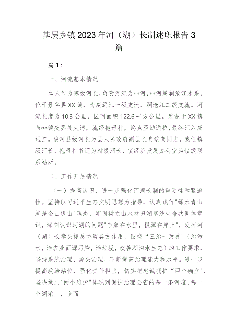 基层乡镇2023年河（湖）长制述职报告3篇.docx_第1页