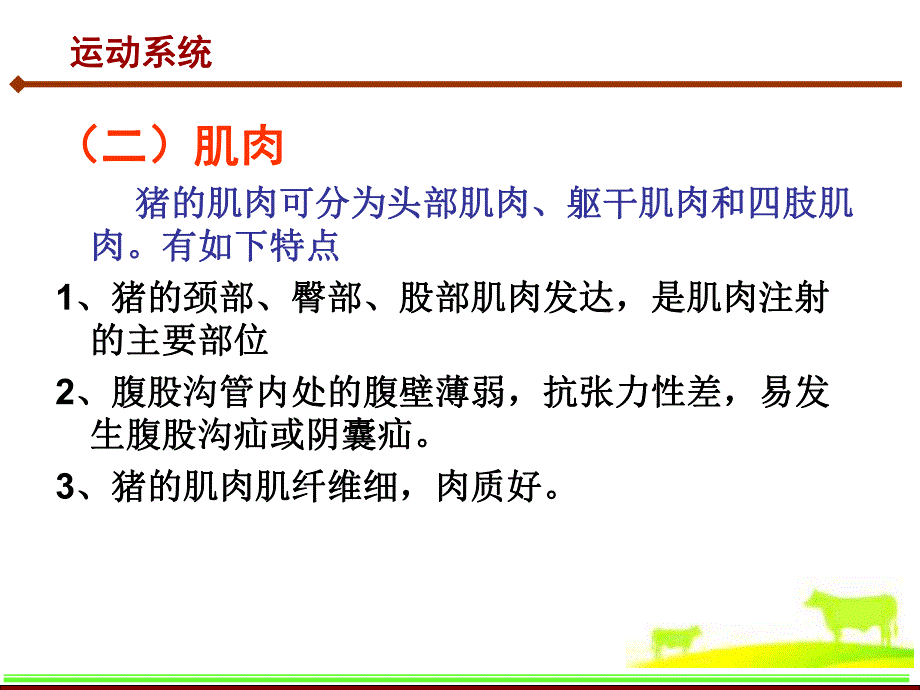 第十章猪的解剖生理特征.ppt_第3页