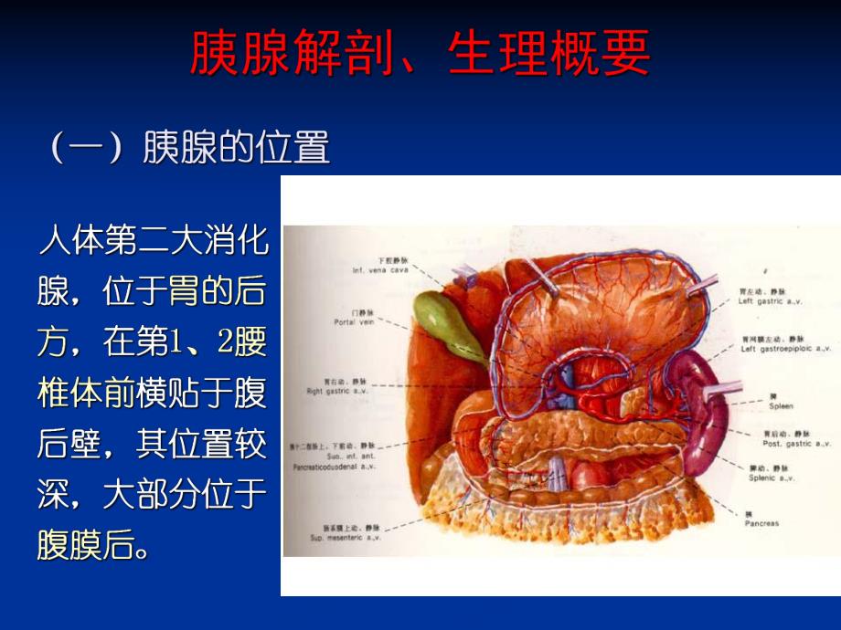 胰腺疾病的CT诊断.ppt_第3页