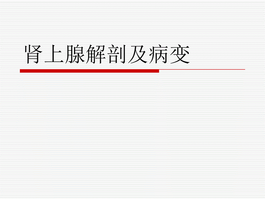 肾上腺解剖及病变.ppt_第1页