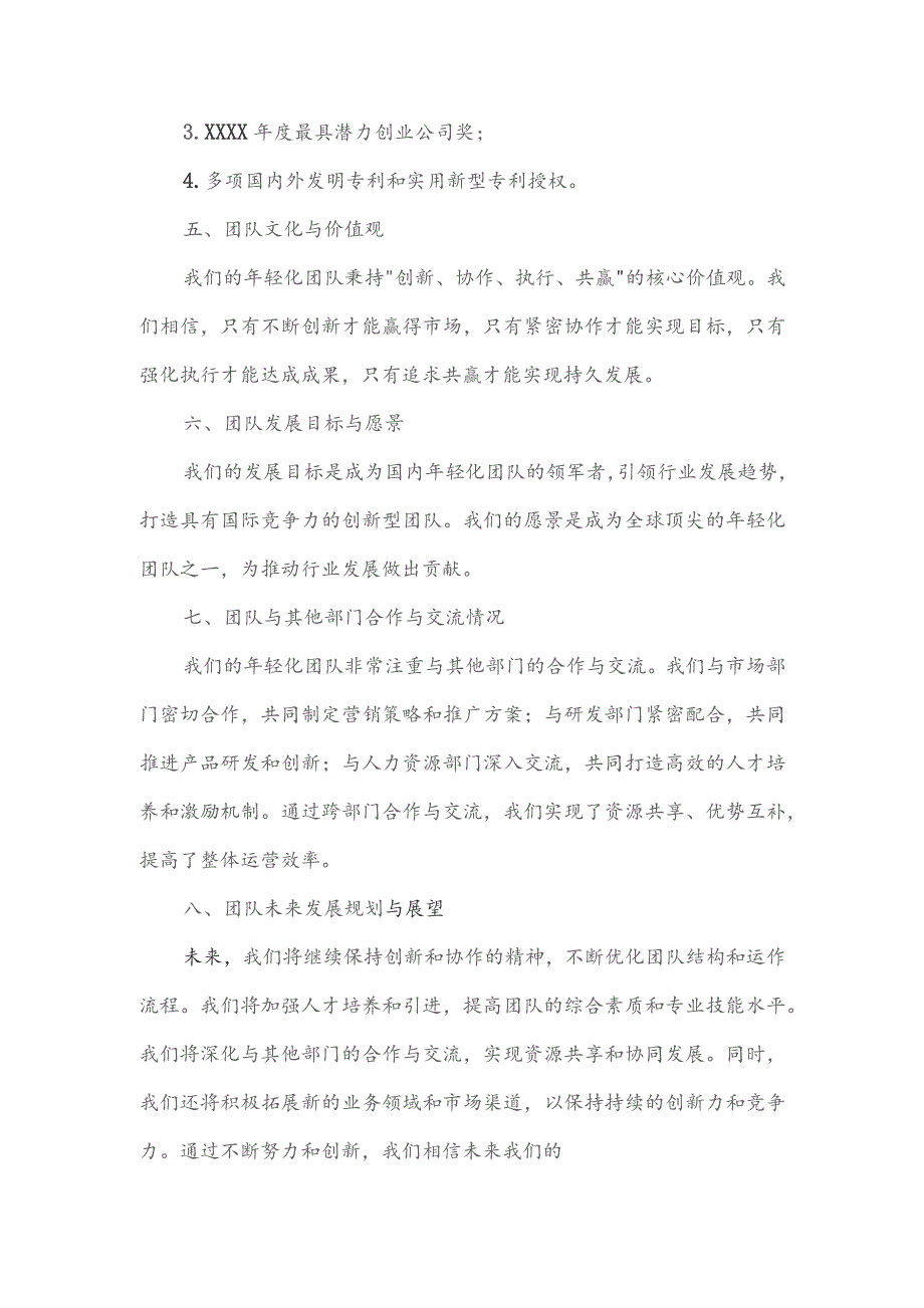 公司年轻化团队介绍模板.docx_第2页