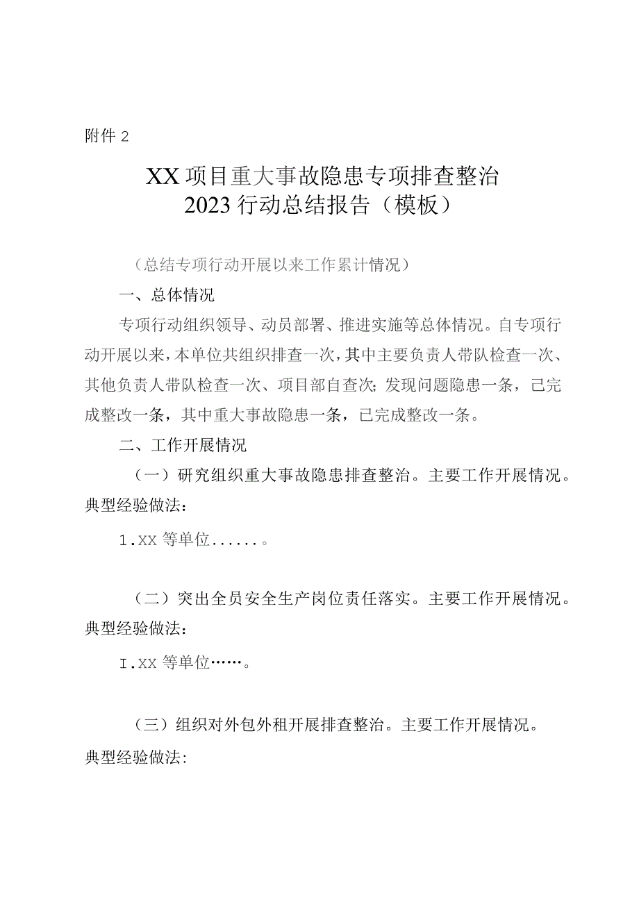 项目重大事故隐患专项排查整治2023行动总结报告（模板）.docx_第1页