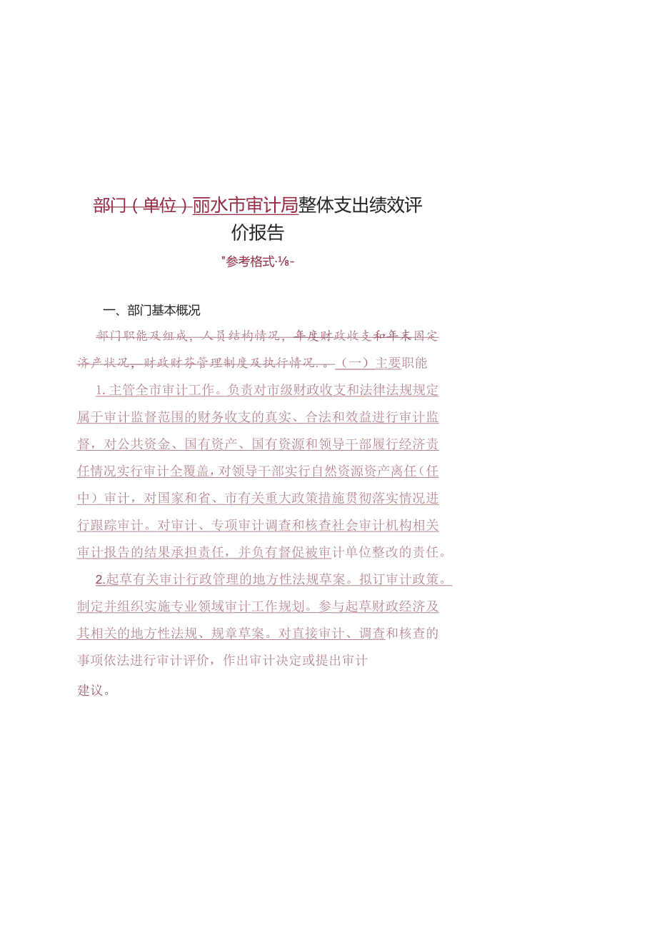 部门单位丽水市审计局整体支出绩效评价报告.docx_第1页