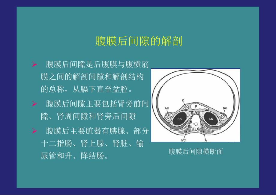 腹膜后间隙病变的影像诊断.ppt_第2页