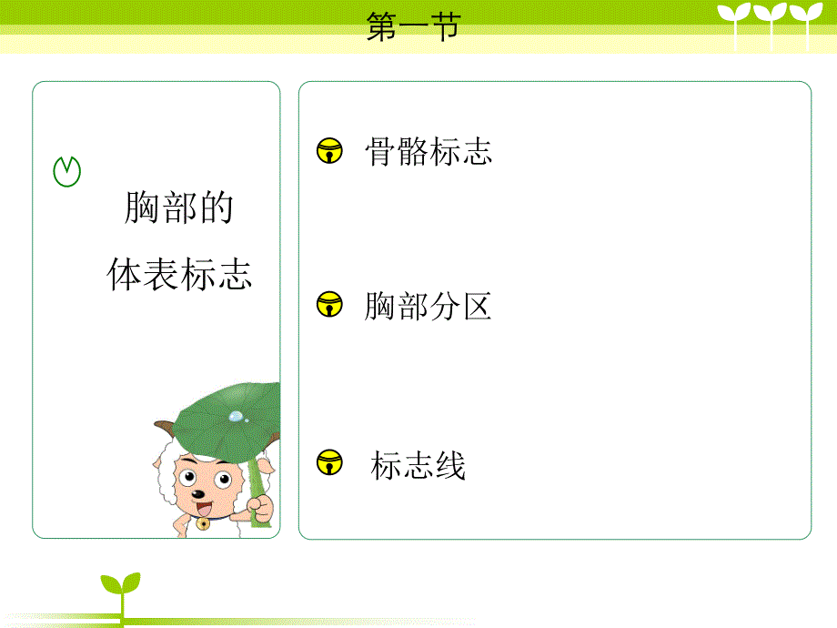 肺部评估.ppt_第3页