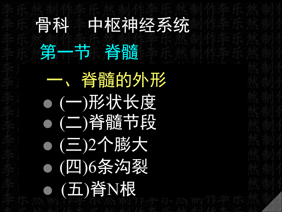 脊髓解剖彩色图谱.ppt_第1页