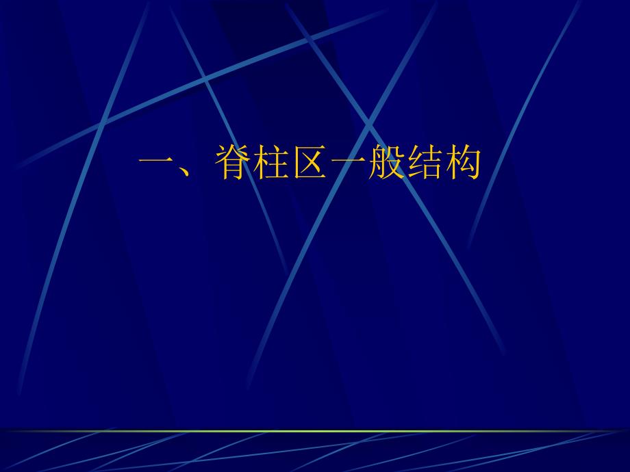 脊柱区断层解剖及CT、MRI.ppt_第2页