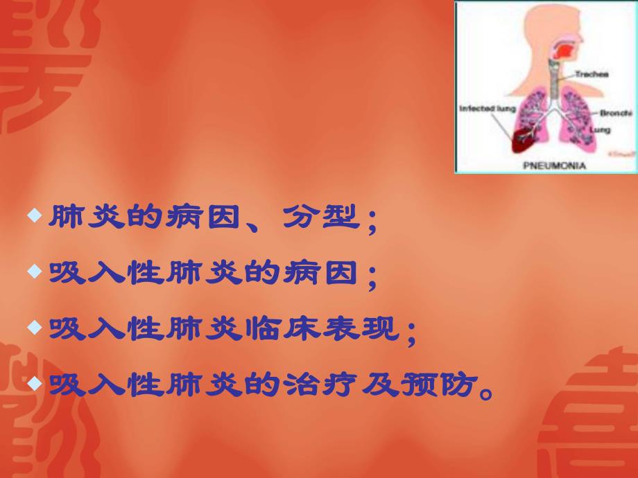 肺部感染.ppt_第2页