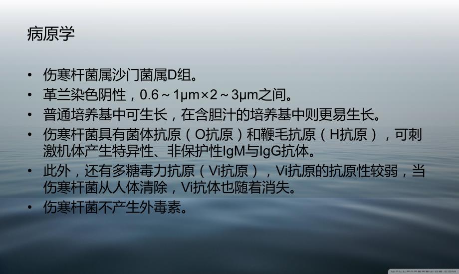 伤寒与副伤寒.ppt_第3页