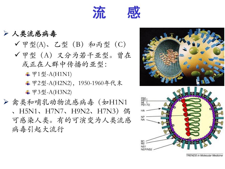 中国流感防控现状和挑战.ppt_第3页