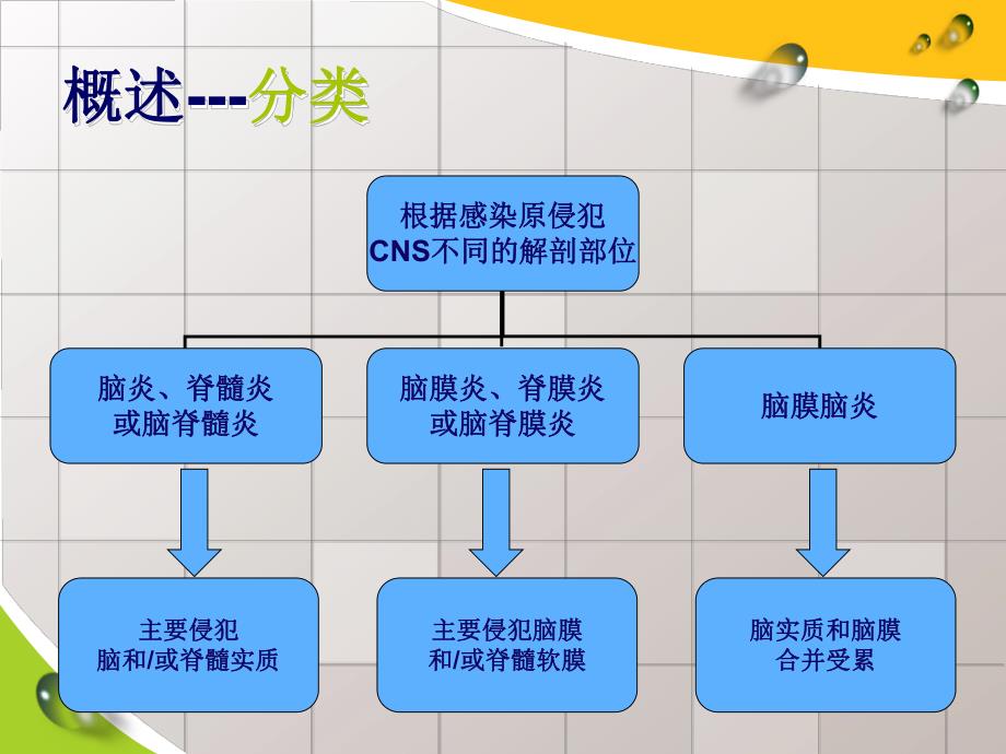 中枢神经系感染PPT幻灯片.ppt_第3页