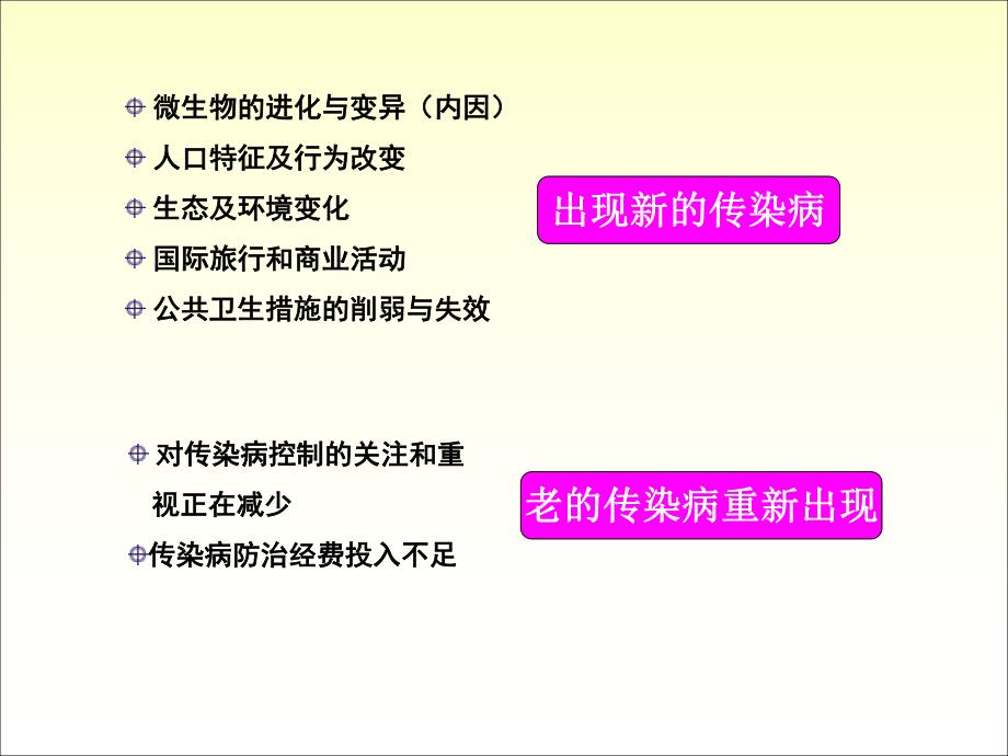 【精品PPT】传染病仍是21世纪各国主要公共卫生问题.ppt_第2页