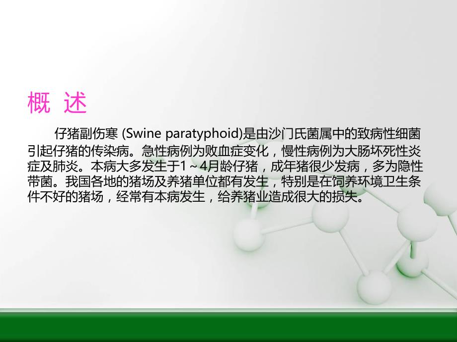 仔猪副伤寒症状图谱慢性.ppt_第2页