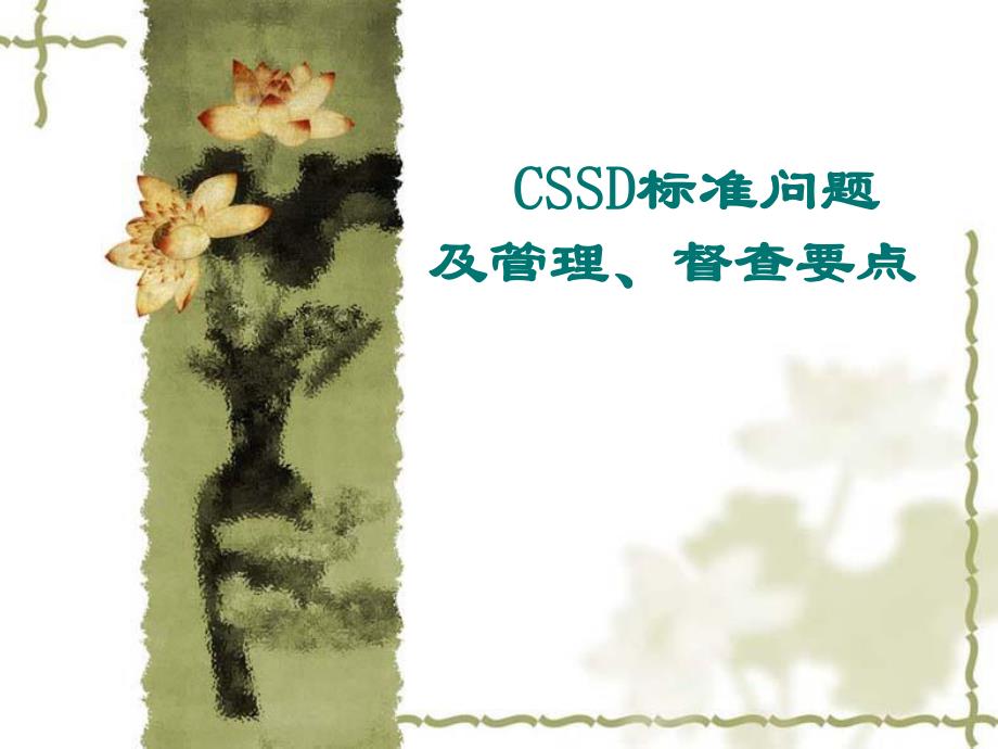 CSSD标准问题及管理、督查要点(PPT45).ppt_第1页