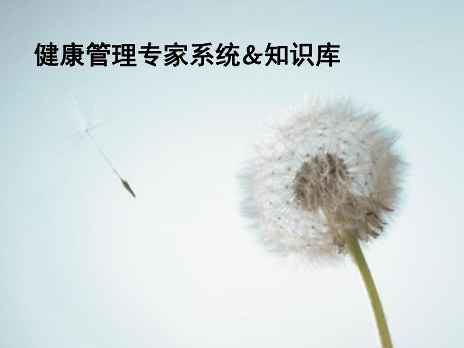 健康管理专家系统&知识库ppt.ppt_第1页