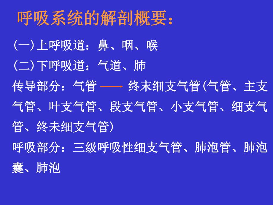 呼吸系统疾病总论.ppt_第3页