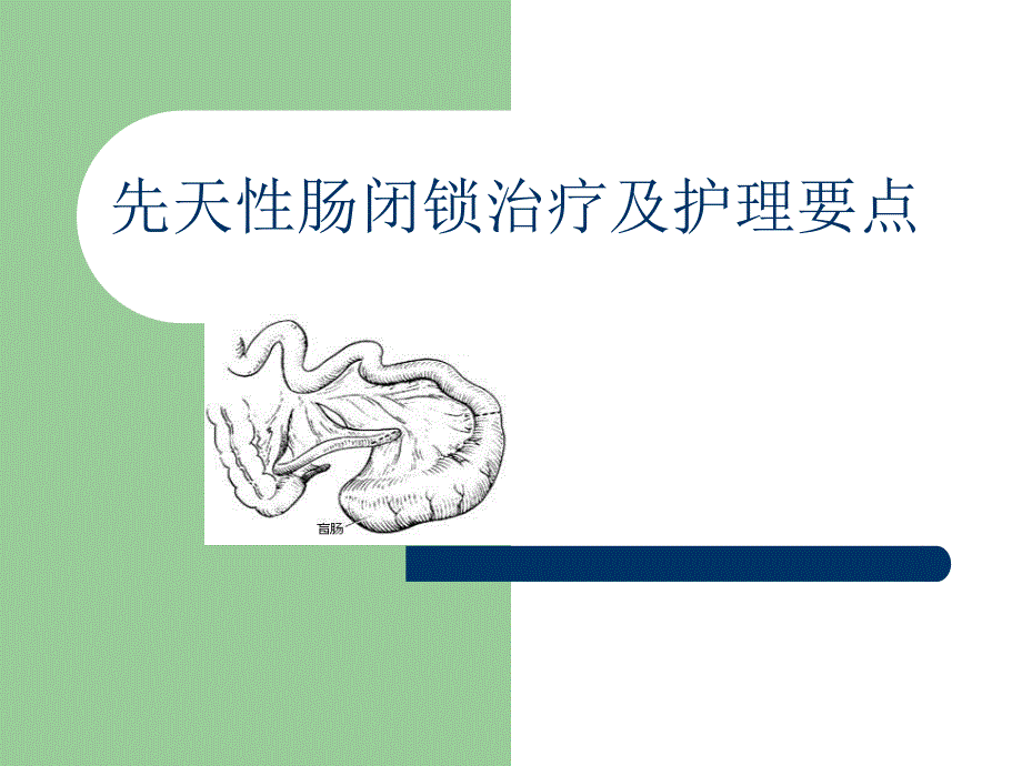 先天性肠闭锁(先天性肠疾病).ppt_第1页