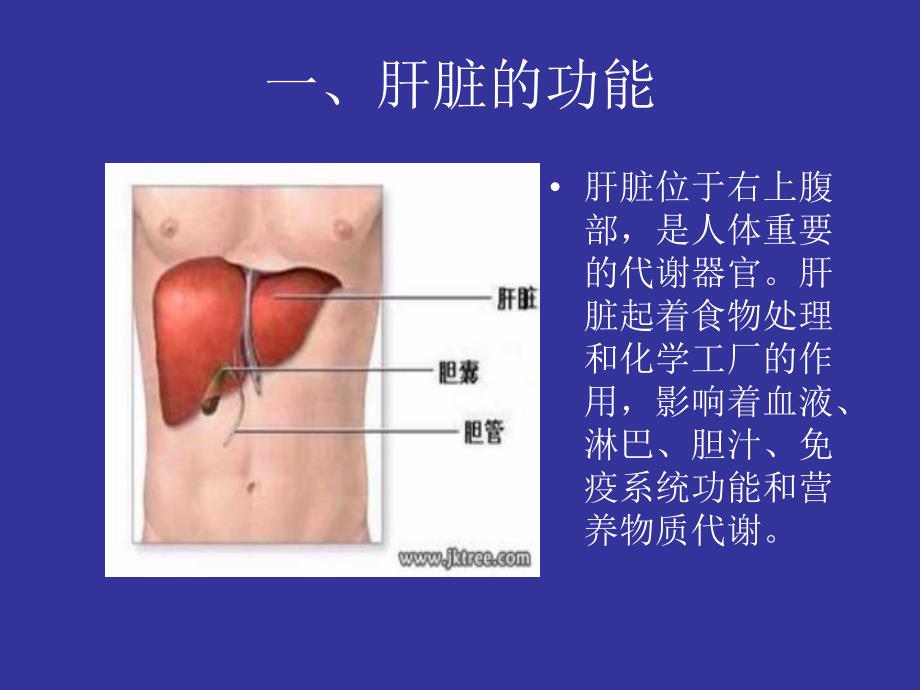 丙肝防治知识讲座.ppt_第3页