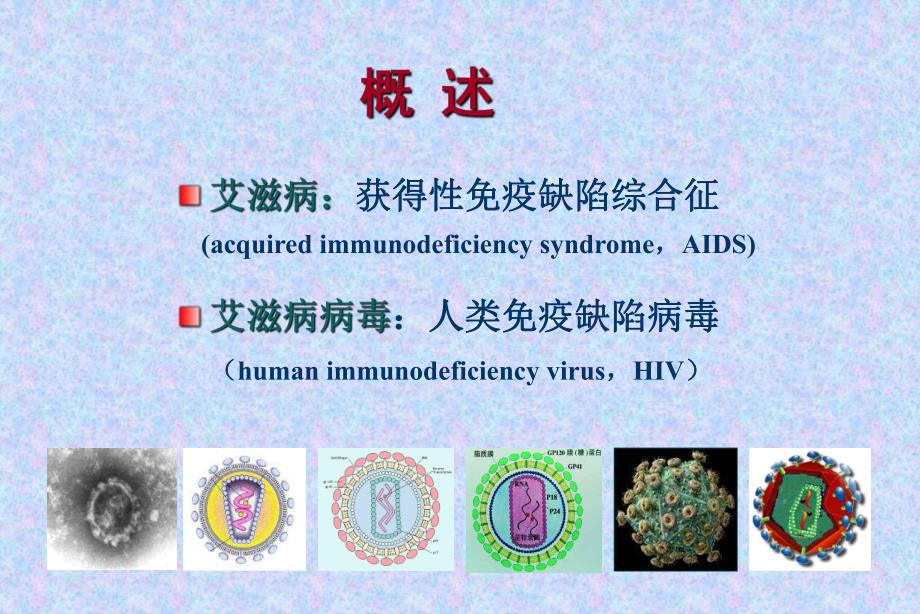 [临床传染病治疗]艾滋病.ppt_第2页