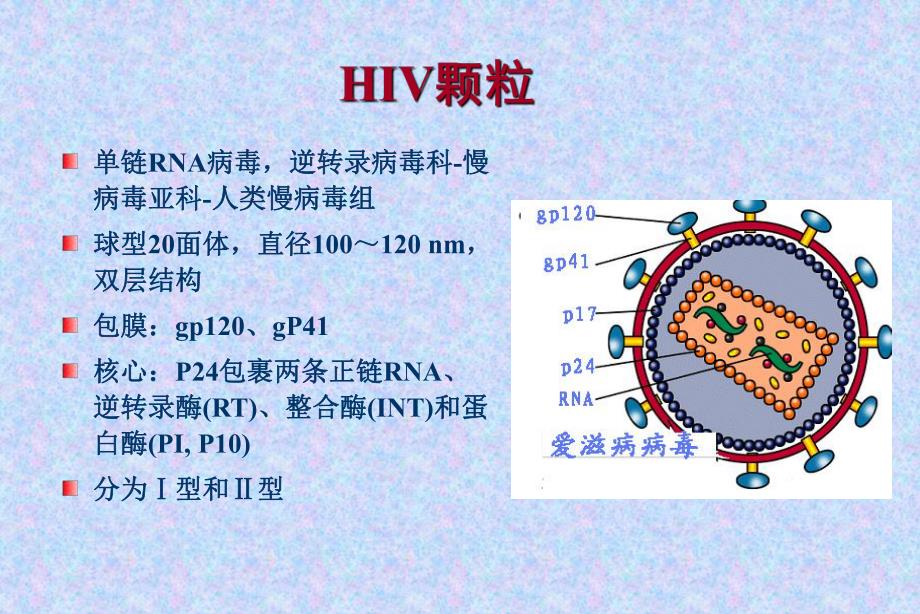 [临床传染病治疗]艾滋病.ppt_第3页