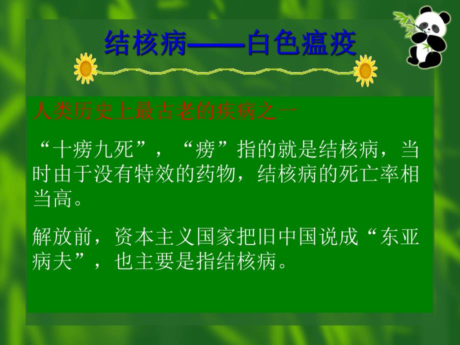 学校结核病防治健康促进.ppt_第3页