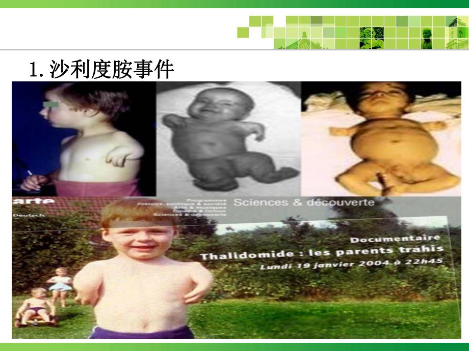 药品不良反应的预防与报告填写.ppt_第2页