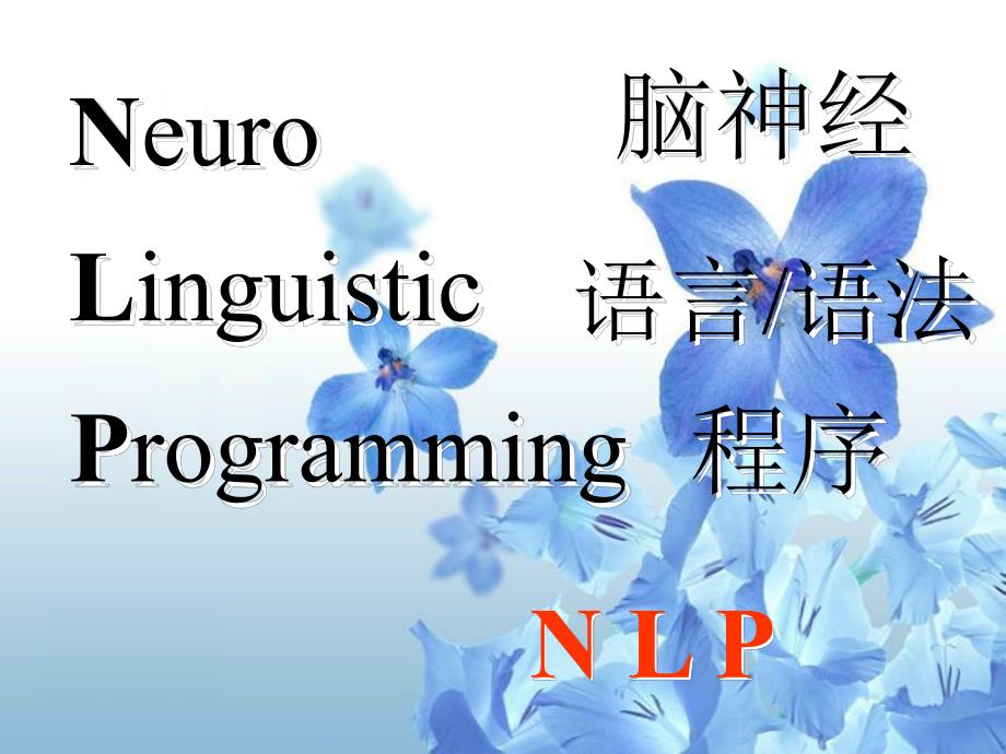 NLP技术与简快疗法.ppt_第2页