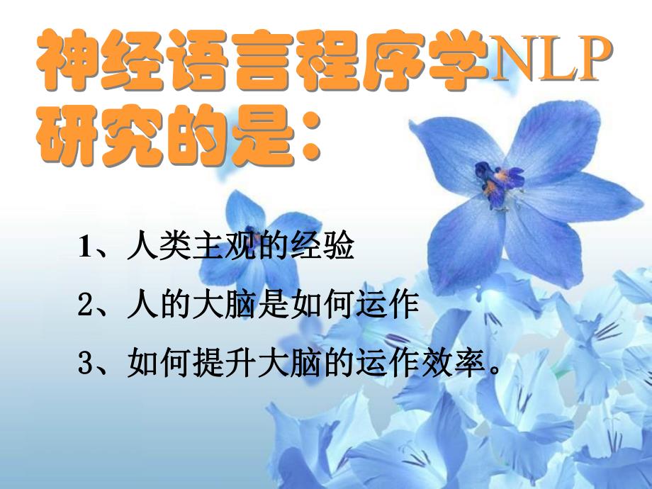 NLP技术与简快疗法.ppt_第3页