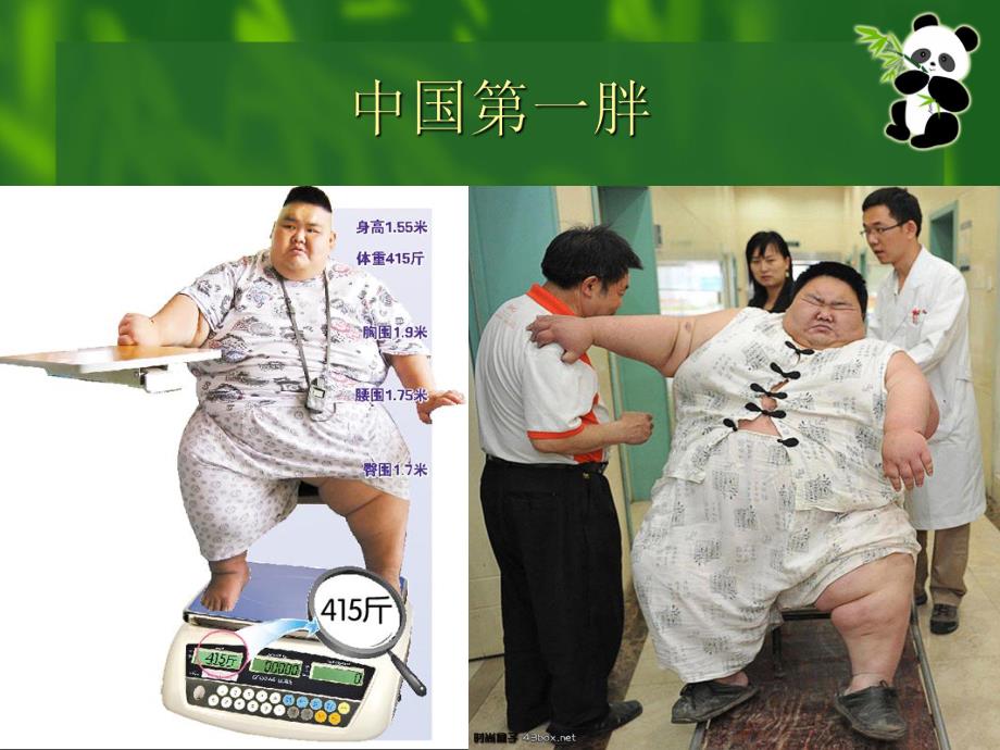 肥胖的危害与防治.ppt.ppt_第2页