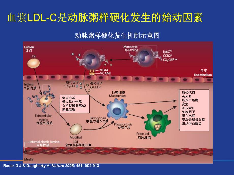 高胆固醇血症的防治现状及存在问题.ppt_第3页