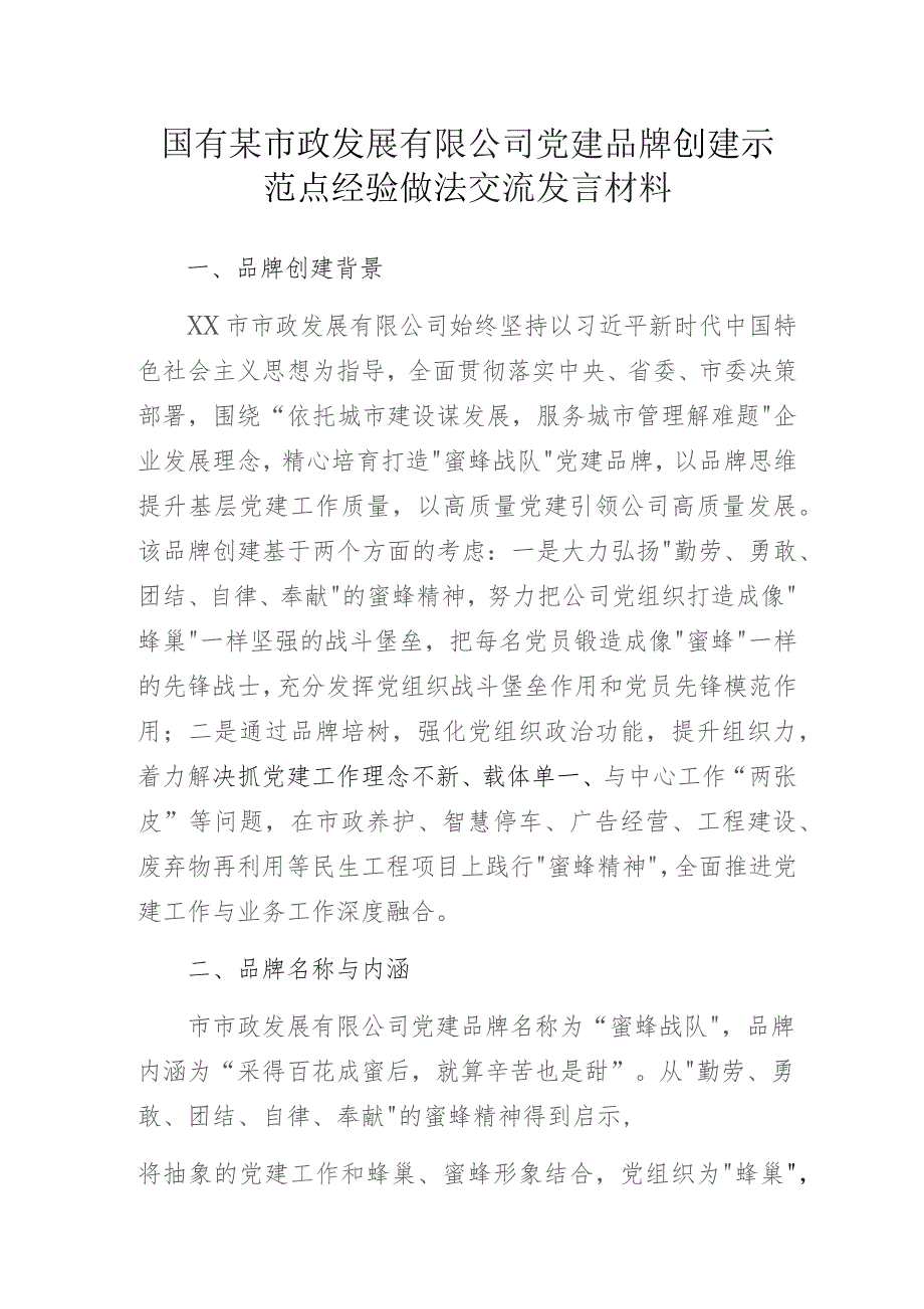 国有某市政发展有限公司党建品牌创建示范点经验做法交流发言材料.docx_第1页