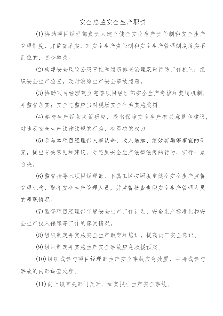 安全总监安全生产职责.docx_第1页