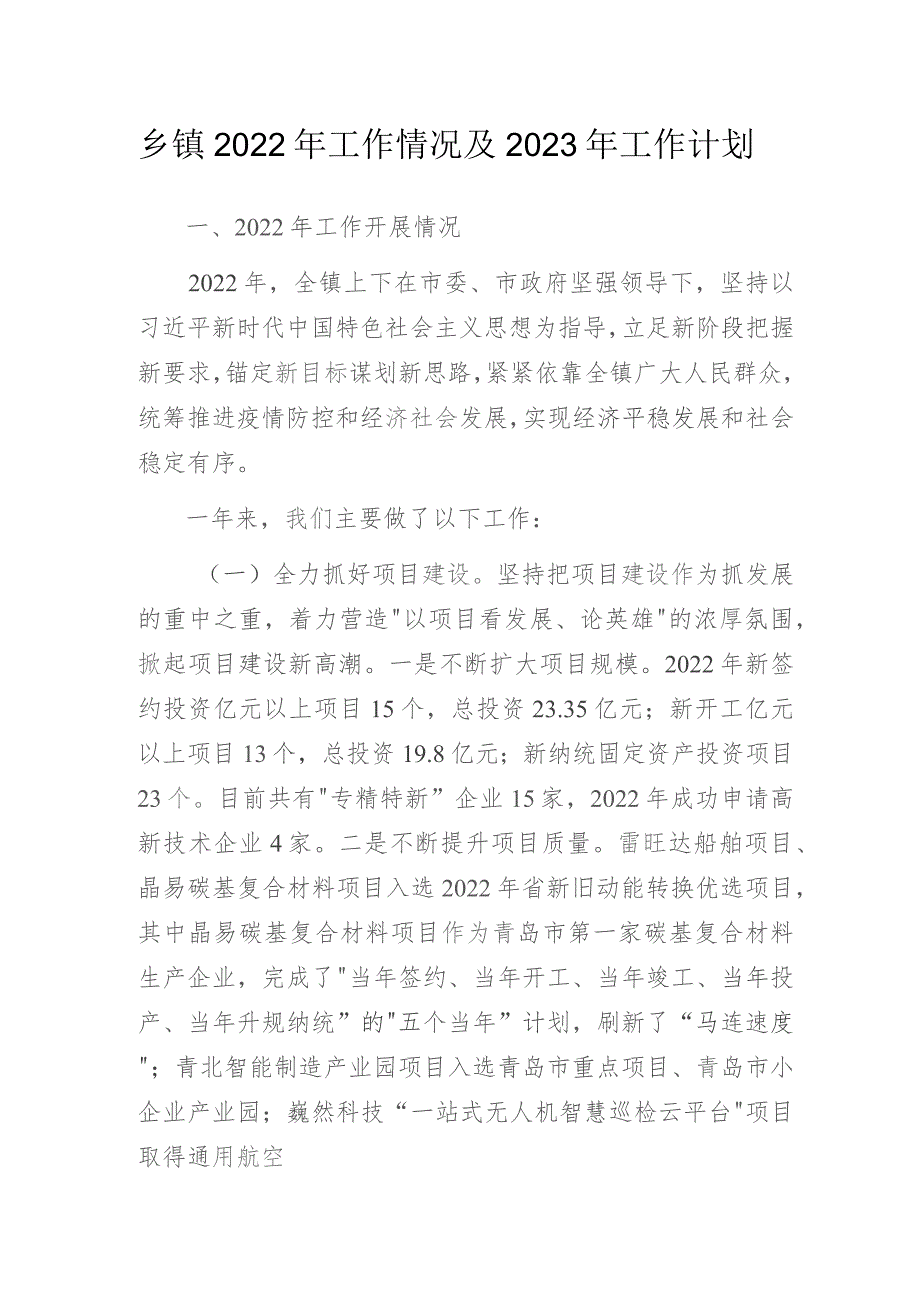 乡镇2022年工作情况及2023年工作计划.docx_第1页