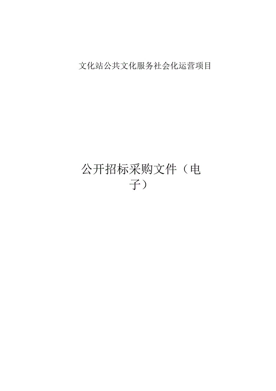 公共文化服务社会化运营项目招标文件.docx_第1页