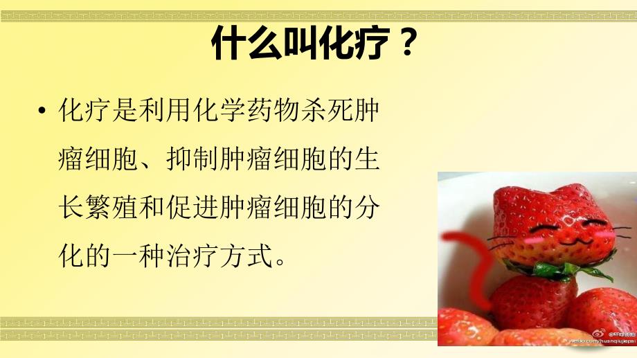 一例乳腺癌患者化疗的护理查房.ppt.ppt_第2页