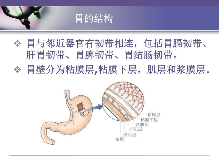 胃癌术后胃肠营养护理.ppt_第3页