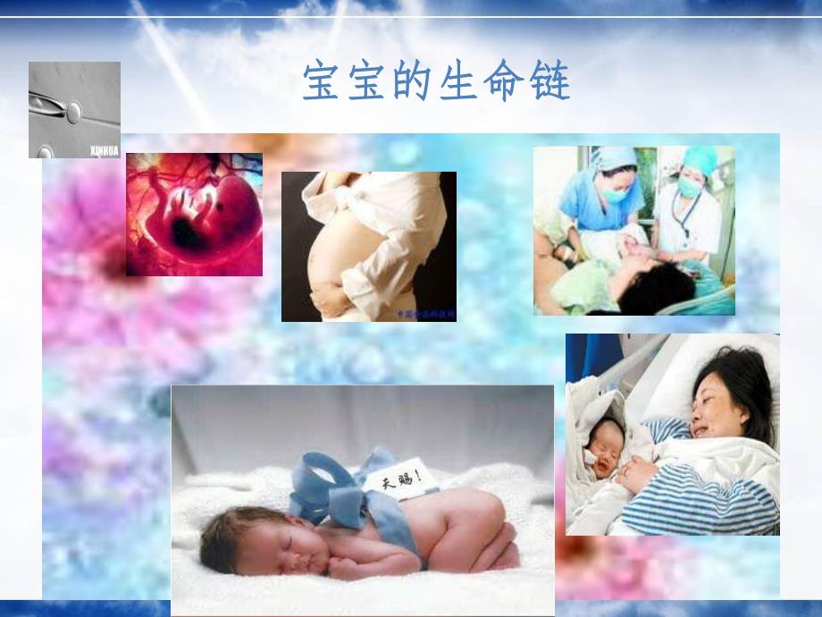 孕期保健项目的认知与了解.ppt_第2页